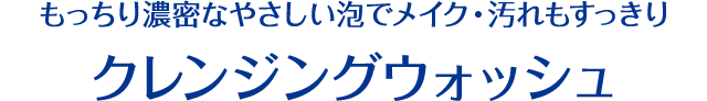もっちり濃密なやさしい泡でメイク・汚れもすっきり クレンジングウォッシュ