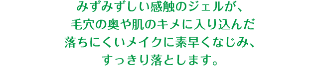 みずみずしい感触のジェルが、毛穴の奥や肌のキメに入り込んだ落ちにくいメイクに素早くなじみ、すっきり落とします。