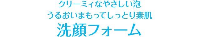 クリーミィなやさしい泡 うるおいまもってしっとり素肌洗顔フォーム