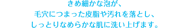 きめ細かな泡が、毛穴につまった皮脂や汚れを落とし、しっとりなめらかな肌に洗い上げます。