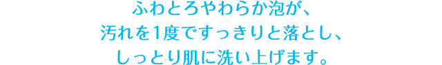 ふわとろ、やわらか泡が、汚れを1度ですっきりと落とし、しっとり肌に洗い上げます。